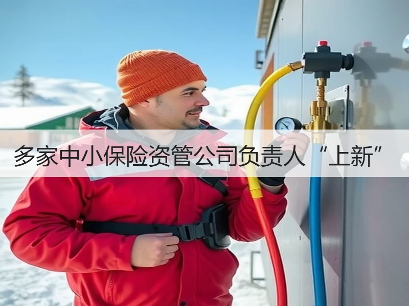 多家中小保险资管公司负责人“上新”