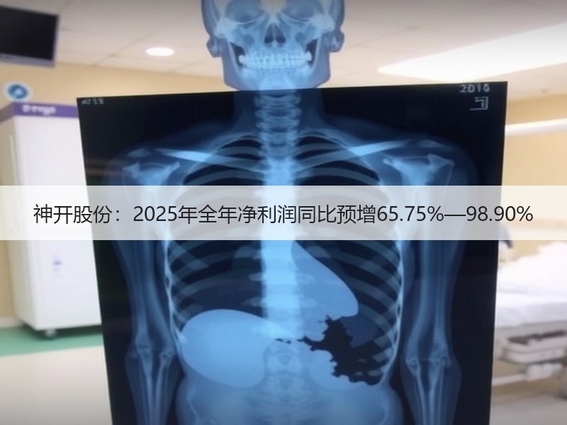 神开股份：2025年全年净利润同比预增65.75%—98.90%