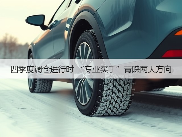 四季度调仓进行时 “专业买手”青睐两大方向(图2) 四季度调仓进行时 “专业买手”青睐两大方向(图2)