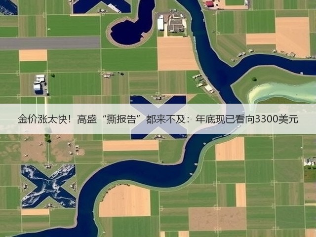 金价涨太快!高盛“撕报告”都来不及:年底现已看向3300美元(图1) 金价涨太快!高盛“撕报告”都来不及:年底现已看向3300美元(图1)