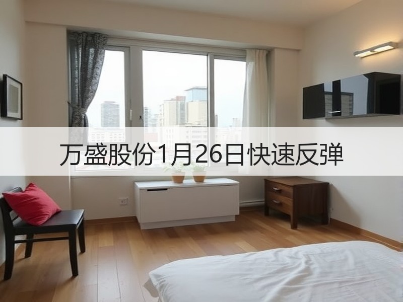 万盛股份1月26日快速反弹