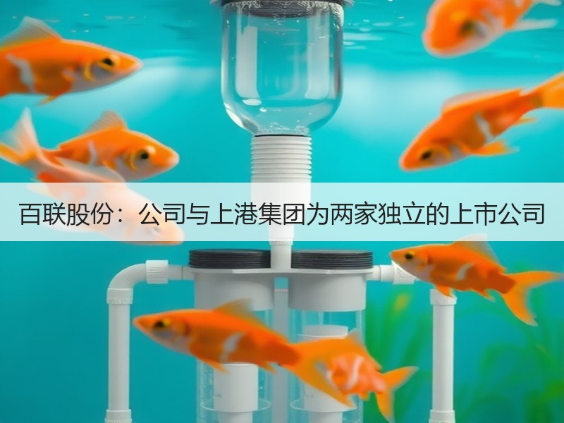 百联股份：公司与上港集团为两家独立的上市公司