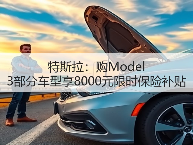 特斯拉：购Model 3部分车型享8000元限时保险补贴(图2)