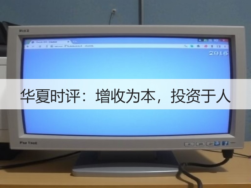 华夏时评：增收为本，投资于人