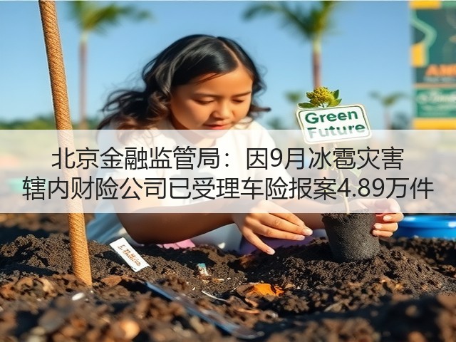 北京金融监管局:因9月冰雹灾害 辖内财险公司已受理车险报案4.89万件(图3) 北京金融监管局:因9月冰雹灾害 辖内财险公司已受理车险报案4.89万件(图3)
