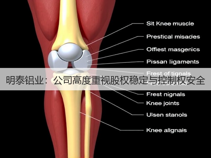 明泰铝业：公司高度重视股权稳定与控制权安全