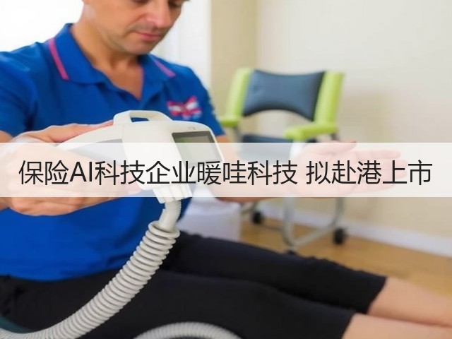 保险AI科技企业暖哇科技 拟赴港上市(图1)
