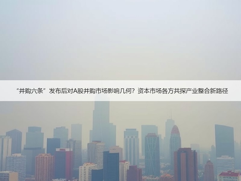 “并购六条”发布后对A股并购市场影响几何？资本市场各方共探产业整合新路径