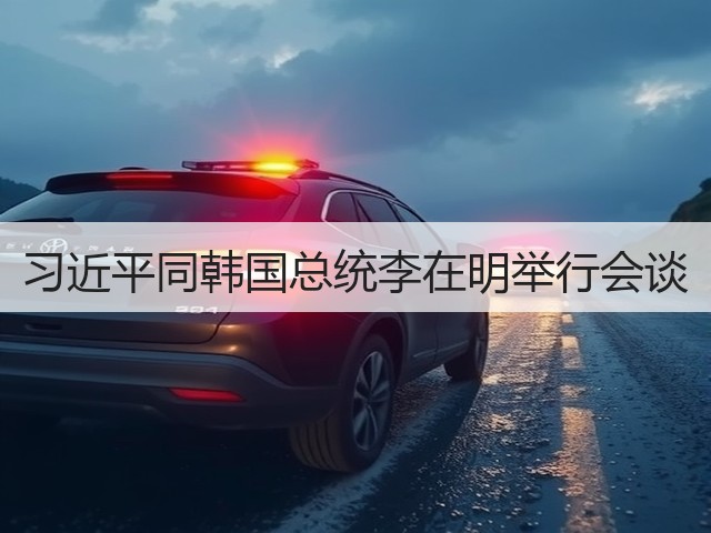 习近平同韩国总统李在明举行会谈(图2) 习近平同韩国总统李在明举行会谈(图2)