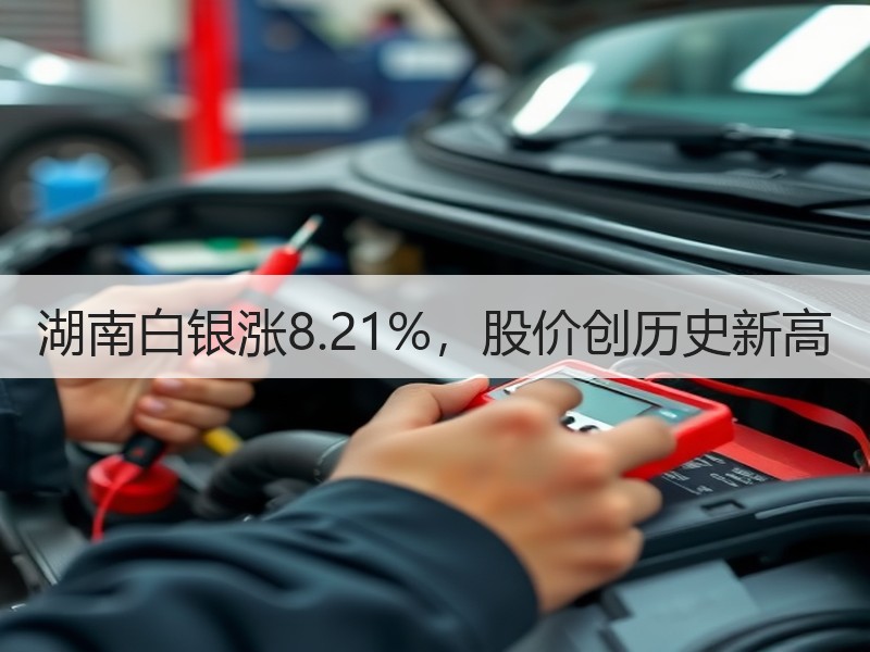 湖南白银涨8.21%，股价创历史新高