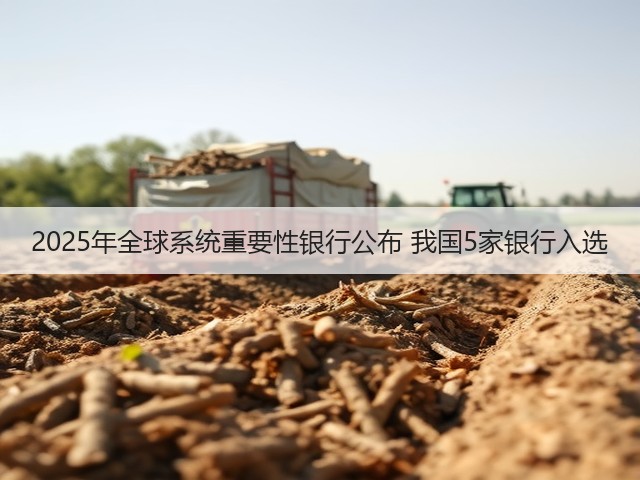 2025年全球系统重要性银行公布 我国5家银行入选(图1) 2025年全球系统重要性银行公布 我国5家银行入选(图1)