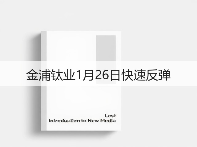金浦钛业1月26日快速反弹(图1) 金浦钛业1月26日快速反弹(图1)