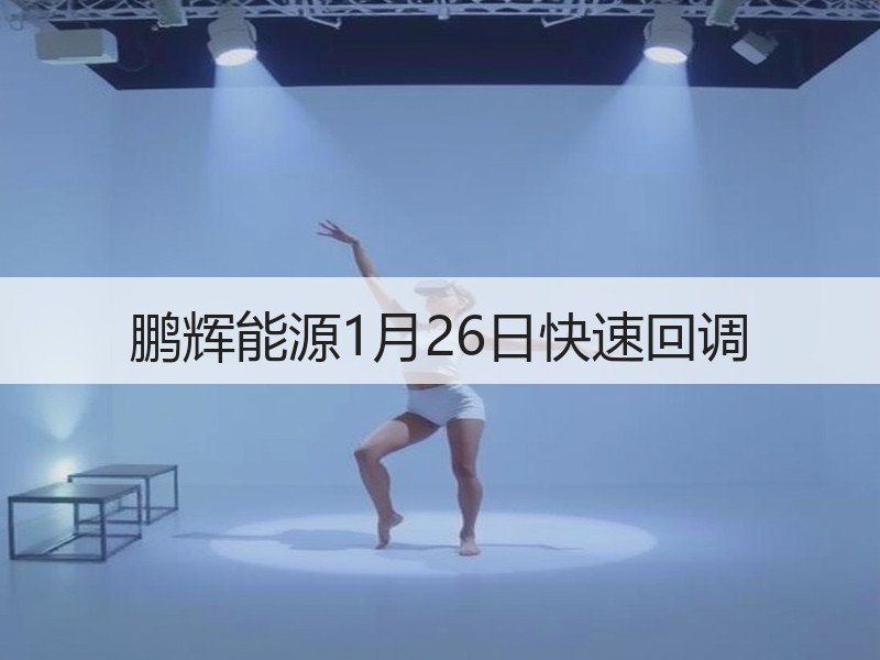 鹏辉能源1月26日快速回调